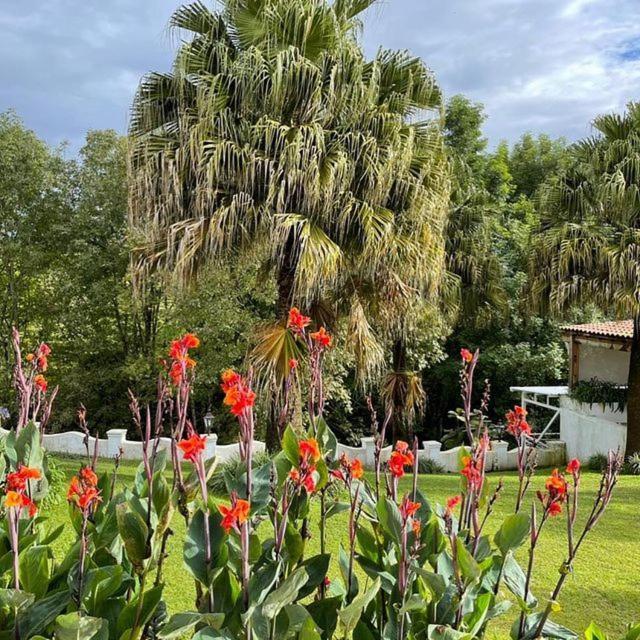 Casa Caballero Hotel Boutique Salento Dış mekan fotoğraf